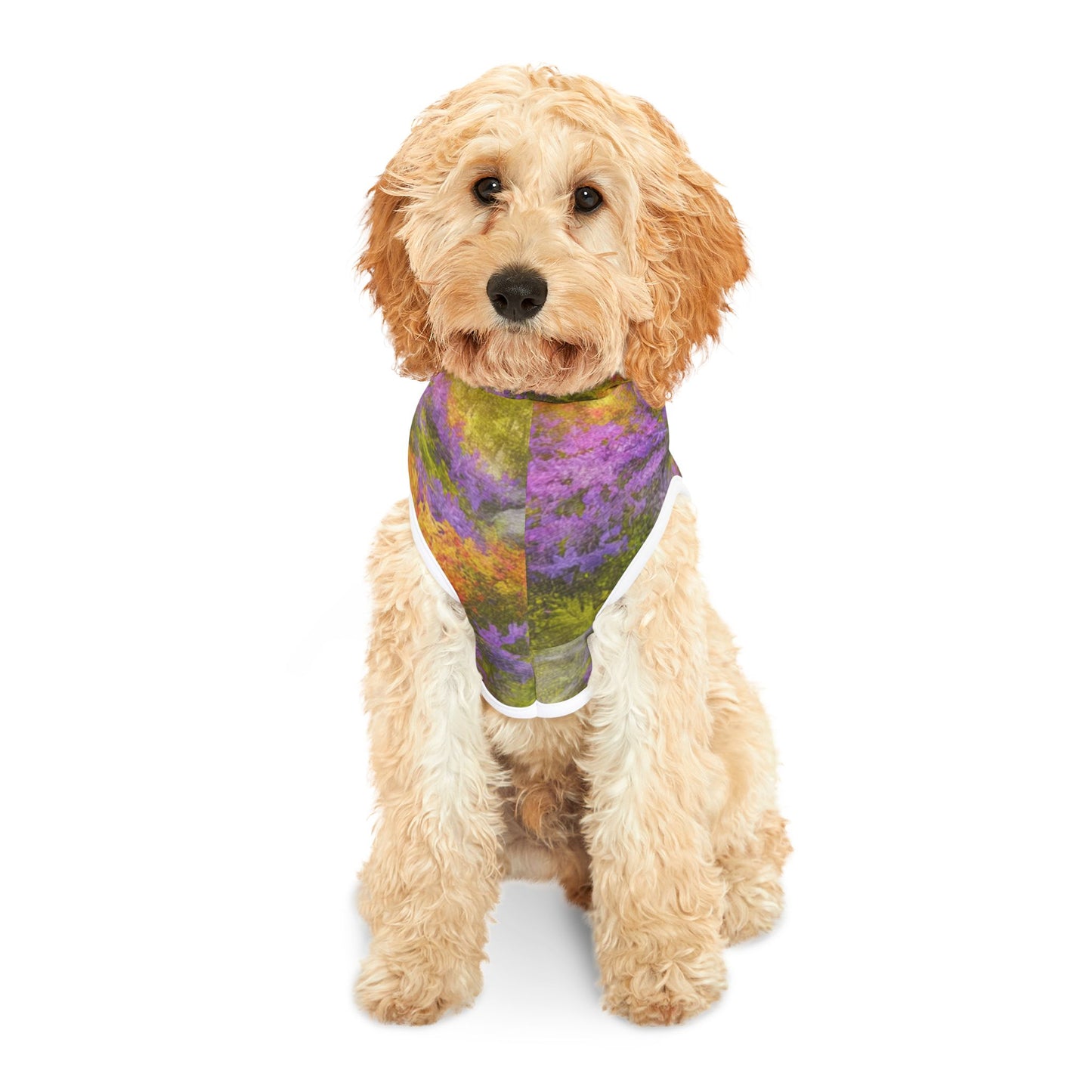 Lavender Gold Bloom, Pet Hoodie | Colorful Dog Sweater, Cozy Pet Apparel, Trendy Dog Clothes, Warm Furry Outfit, Pet Fashion Gift
