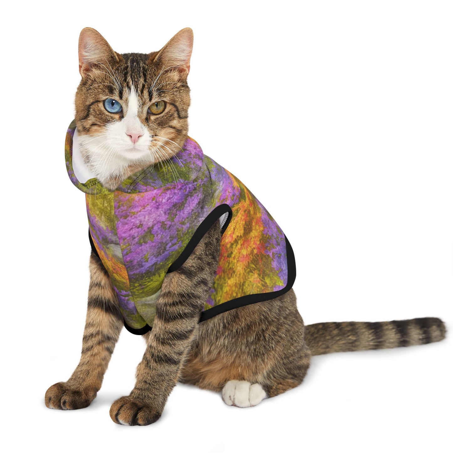 Lavender Gold Bloom, Pet Hoodie | Colorful Dog Sweater, Cozy Pet Apparel, Trendy Dog Clothes, Warm Furry Outfit, Pet Fashion Gift