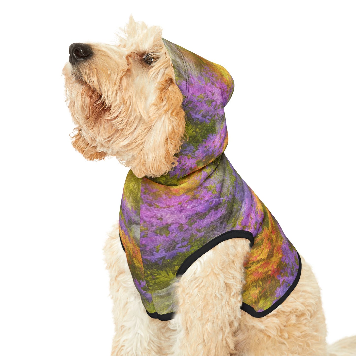 Lavender Gold Bloom, Pet Hoodie | Colorful Dog Sweater, Cozy Pet Apparel, Trendy Dog Clothes, Warm Furry Outfit, Pet Fashion Gift