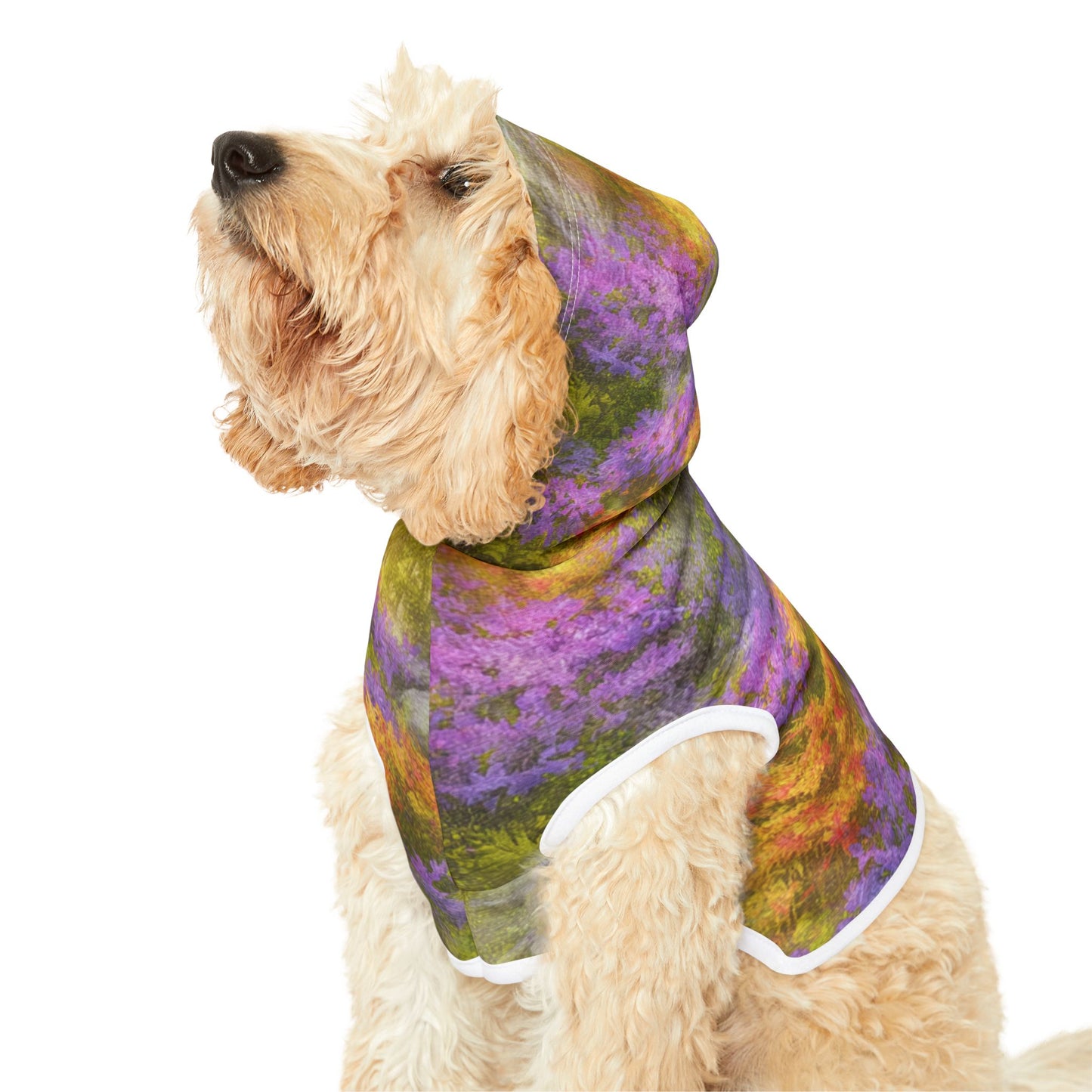 Lavender Gold Bloom, Pet Hoodie | Colorful Dog Sweater, Cozy Pet Apparel, Trendy Dog Clothes, Warm Furry Outfit, Pet Fashion Gift