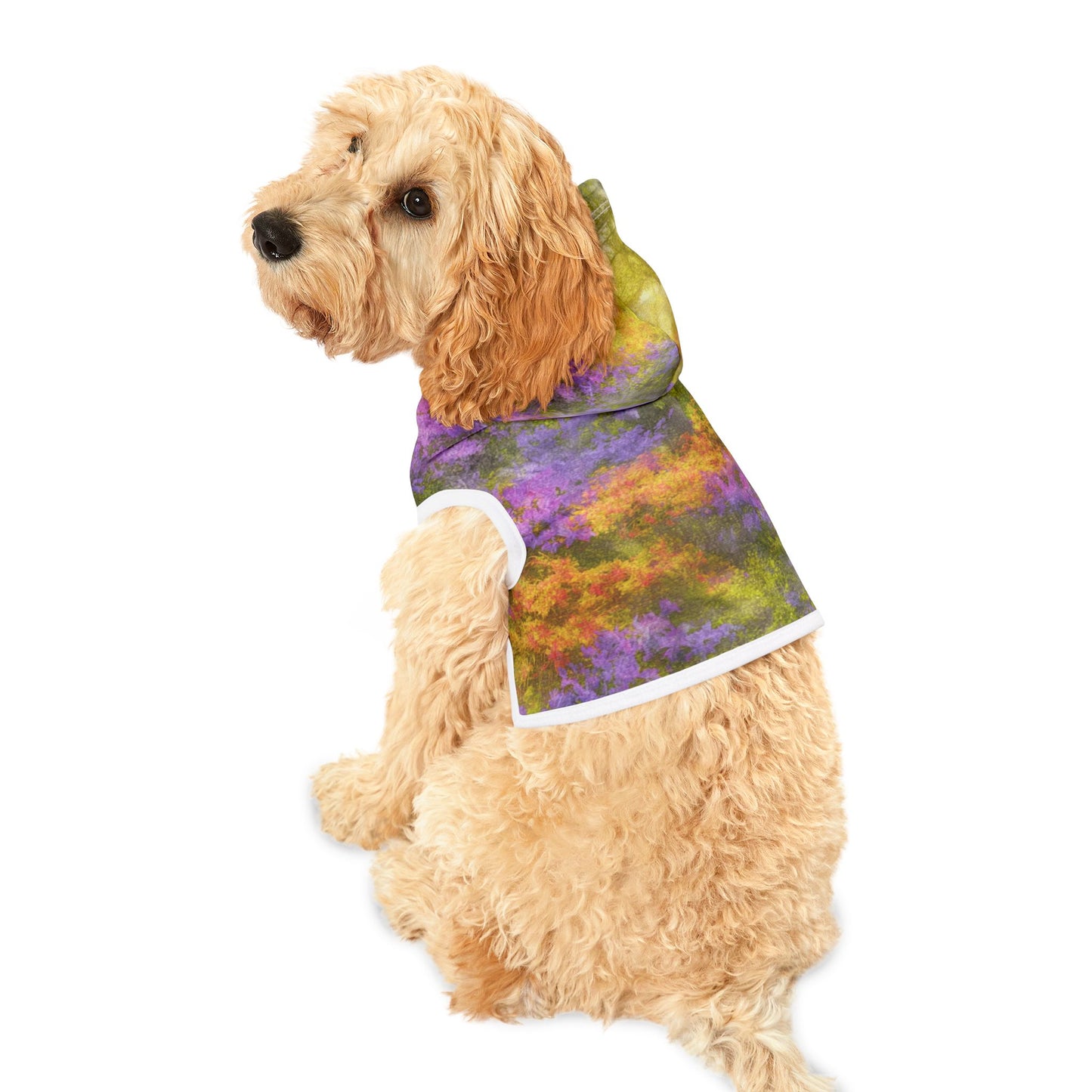Lavender Gold Bloom, Pet Hoodie | Colorful Dog Sweater, Cozy Pet Apparel, Trendy Dog Clothes, Warm Furry Outfit, Pet Fashion Gift