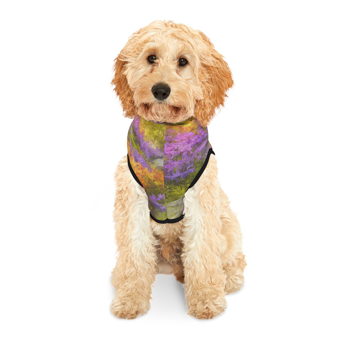 Lavender Gold Bloom, Pet Hoodie | Colorful Dog Sweater, Cozy Pet Apparel, Trendy Dog Clothes, Warm Furry Outfit, Pet Fashion Gift