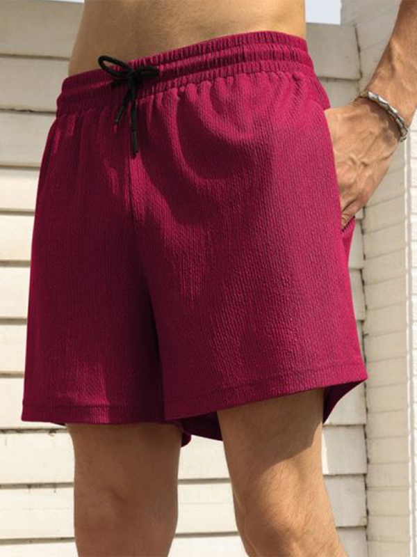 Men’s Double-Layer Sports Shorts, Quick-Dry Lined Activewear, 4 Colors