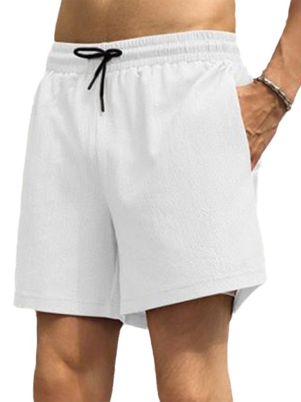 Men’s Double-Layer Sports Shorts, Quick-Dry Lined Activewear, 4 Colors